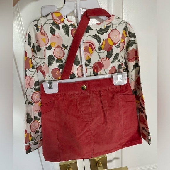 Max Studio Other - Max Studio Kids toddler outfit top velvet skirt and berry crossbody handbag 3t